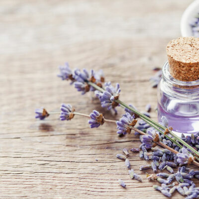 Essential Oils That are Safe for Pets