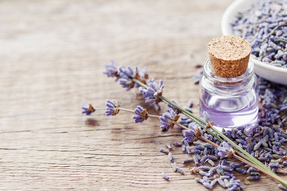 Essential Oils That are Safe for Pets