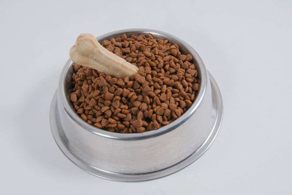 Top High-Protein Dog Treat Brands