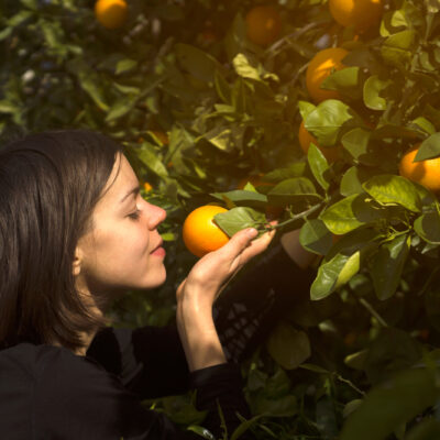 5 Surprising Health Benefits of Gardening